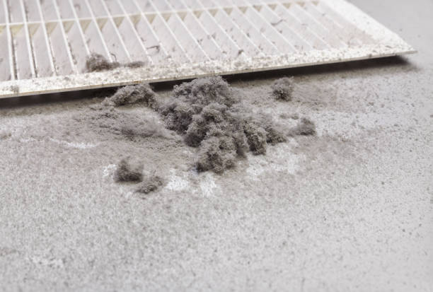 Best HVAC Air Duct Cleaning  in Dexter, MO