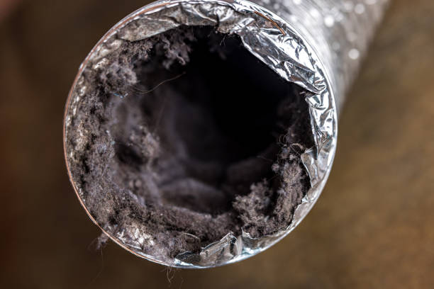 Best HVAC Air Duct Cleaning  in Dexter, MO